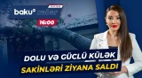 Lənkəranda ağaclar aşdı, sakinlər çətin durumda qaldı - Baku TV CANLI