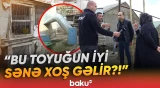 Quşçuluq ferması ilə bağlı şikayət: Sakinləri kəskin qoxu narahat etdi - Baku TV
