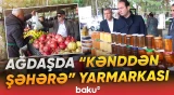 Ağdaşda kənd təsərrüfatı məhsullarının satışı təşkil olunub - Baku TV