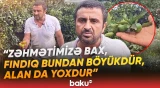 "Ona-buna yalvarmalıyıq ki, gətirsin" | Astarada naringi  bağları susuzluqdan yanır - Baku TV