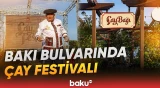 Azərbaycanın özünəməxsus çay mədəniyyəti nümayiş etdirilir - Baku TV