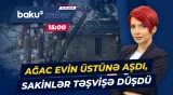 Bakıxanovda qurumuş ağacların yaratdığı təhlükə - Baku TV CANLI