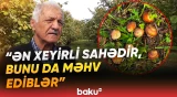“Kilosunda heç 20 qəpik xeyir qalmır” | Zaqatalalı fermerlər çıxılmaz durumda - Baku TV