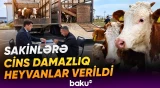 Özünüməşğulluq proqramı üzrə ilk: azad edilən ərazilərdə təsərrüfat fəaliyyətinin inkişafı - Baku TV