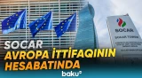 Şirkət qeyri-neft sektorunun ixracyönümlü sahələrinə investisiya yatıra bilər - Baku TV