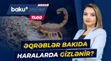 Əqrəblər Bakıda 2 nəfəri xəstəxanalıq etdi: Mütəxəssislərdən təcili xəbərdarlıq - Baku TV CANLI