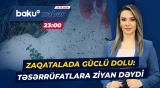 Zaqatalanın Yuxarı Tala və Ələskər kəndlərində dolu təsərrüfatlara ziyan vurub - Baku TV CANLI