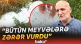 Zaqatalada leysan və dolu sakinlərə çətin anlar yaşatdı - Baku TV