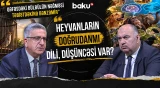"Heyvan döyüşlərini əyləncəyə çevirmək vəhşilikdir" | "Heyvanı canlı hədəfə çevirmək olmaz" - AMİN