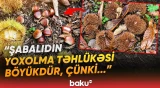 “Hamısı məhv oldu” | Şabalıd tarixə qovuşur? | “150 kilo bar verən ağac 2-3 kq verir” - Baku TV