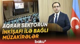 Kənd Təsərrüfatı İşçiləri Günü münasibətilə keçirilən tədbirdən bağlantı - Baku TV