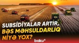 Aqrar sektorda səmərəlilik problemi | Dövlətin köməyi niyə iqtisadi artıma çevrilmir? - Baku TV