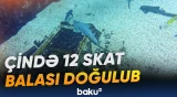 Nəsli kəsilməkdə olan balığın sayı artırılır