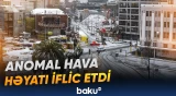 Yeni Zellandiyaya qar yağdı, məktəblər bağlandı