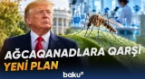 Tramp administrasiyası ağcaqanadların sayını kəskin azaltmaq üçün yeni qərar verib