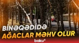 Aidiyyəti qurumların biganə yanaşdığı məsələ
