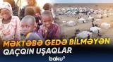 2025-ci ildə bu rəqəm 6 milyona yaxın olub