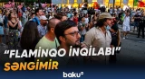 “Flaminqo inqilabı”nın 101-ci günündə etirazçılarla polis arasında toqquşma yaşanıb