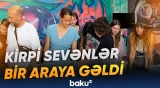 Rusiyada kirpilərə həsr olunan festival keçirilib