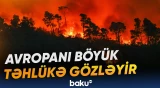Meşə yanğınları üç dəfəyədək arta bilər