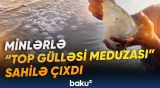 Meksika sahilində qeyri-adi hadisə yaşandı