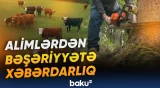 “Planetin ağciyərləri” quru savannaya çevrilməyə başlaya bilər