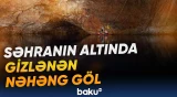 Burada yaşayan canlılara dünyanın başqa heç yerində rast gəlinmir