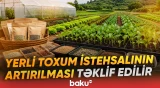 Yerli toxum istehsalının artırılması təklif edilir