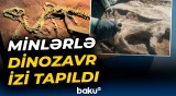 Boliviyada tarixi kəşf | Parkda dinozavr izləri aşkar edildi - Baku TV