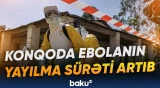 Tarixin ən böyük epidemiyası ola bilər