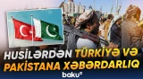 Husilərdən Türkiyə və Pakistana xəbərdarlıq