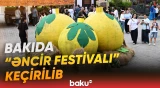 Paytaxtda təşkil olunan "Əncir Festivalı" bu dəfə maraqlı təqdimatlarla yadda qalıb - Baku TV