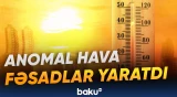 İstilər Macarıstanda AES-i iflic etdi, İspaniyada isə can aldı