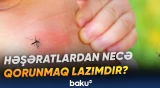 Ağcaqanadların çoxalmasını sürətləndirən amillər