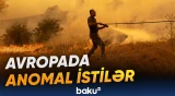 Meşə yanğınları ölümcül təhlükəni də üzə çıxardı