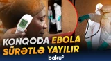 Yoluxanların yarıdan çoxu ölüb