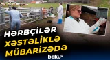 Fransada hərbçilər xəstəliklə mübarizə tədbirlərinə qoşuldular