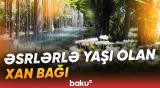 Gəncədə yerləşən istirahət guşəsindən görüntülər