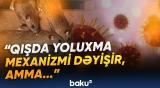 Hantavirusun sağqalma temperaturu ilə bağlı məlumat