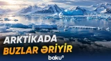 Şimal Buzlu okean bu əsrdə buzsuz qala bilər