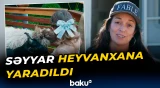 "Uşaqların sevgisi bizə stimul verib" | ABŞ-li cütlüyün heyvanlara qayğısı
