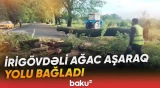 Oğuzda güclü küləyin fəsadları