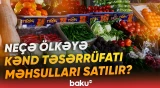 2025-ci ildə neçə min ton bitkiçilik məhsulu ixrac edilib? | AQTA sədri rəqəmləri açıqladı