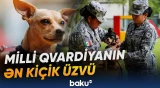 Milli Qvardiyanın ən kiçik üzvünün təlimlərindən maraqlı görüntülər
