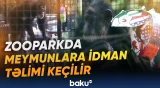 "Onları öyrətmək olduqca əyləncəlidir" | Tatyana Raskin