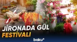 İspaniyadakı gül festivalından görüntülər