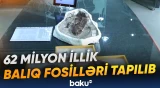 Yerdə həyatın necə bərpa olunduğunu araşdırmaq asanlaşacaq