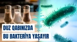 Alimlər bu bakteriyalarla bağlı xəbərdarlıq etdi
