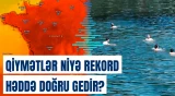 Fransada elektrik enerjisinin qiyməti son 2 ilin ən yüksək səviyyəsinə çatıb