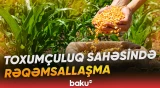 İlhamə Qədimova: “Bu sahədə doğru qeydiyyatın sistem vasitəsilə izlənməsi hədəflənir”